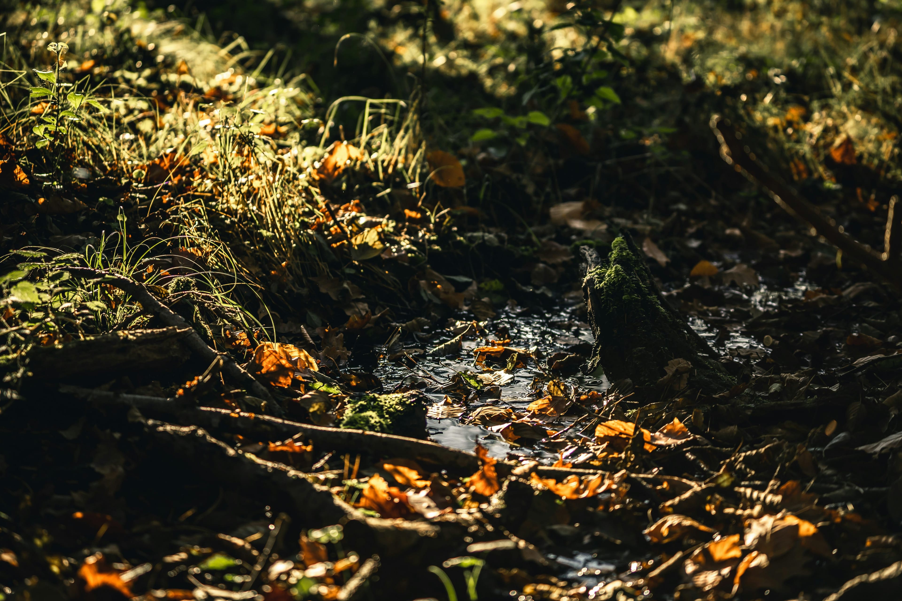 Clean Water Initiative